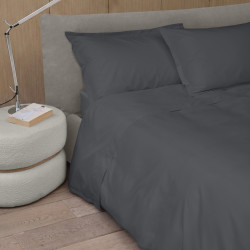 ARIANNA Sheet