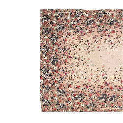 NETTARE Runner