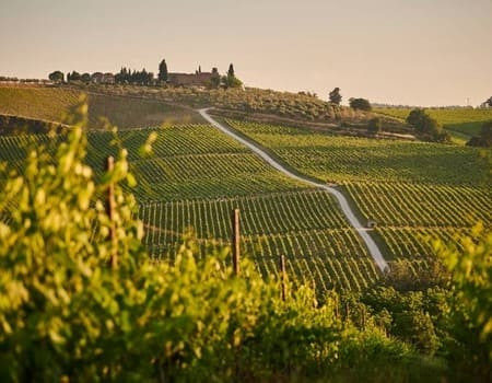Ecolabel: cos’è e cosa garantisce sulla biancheria per la casa